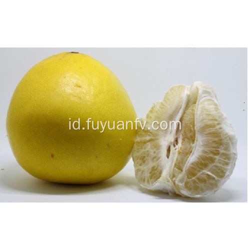 Dijual Pomelo manis segar